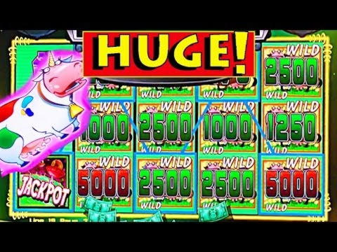€210 Tournament at Omni Slots Casino