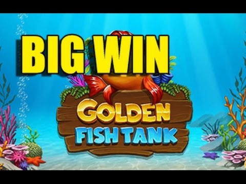 175 free spins no deposit at Golden Lion Casino