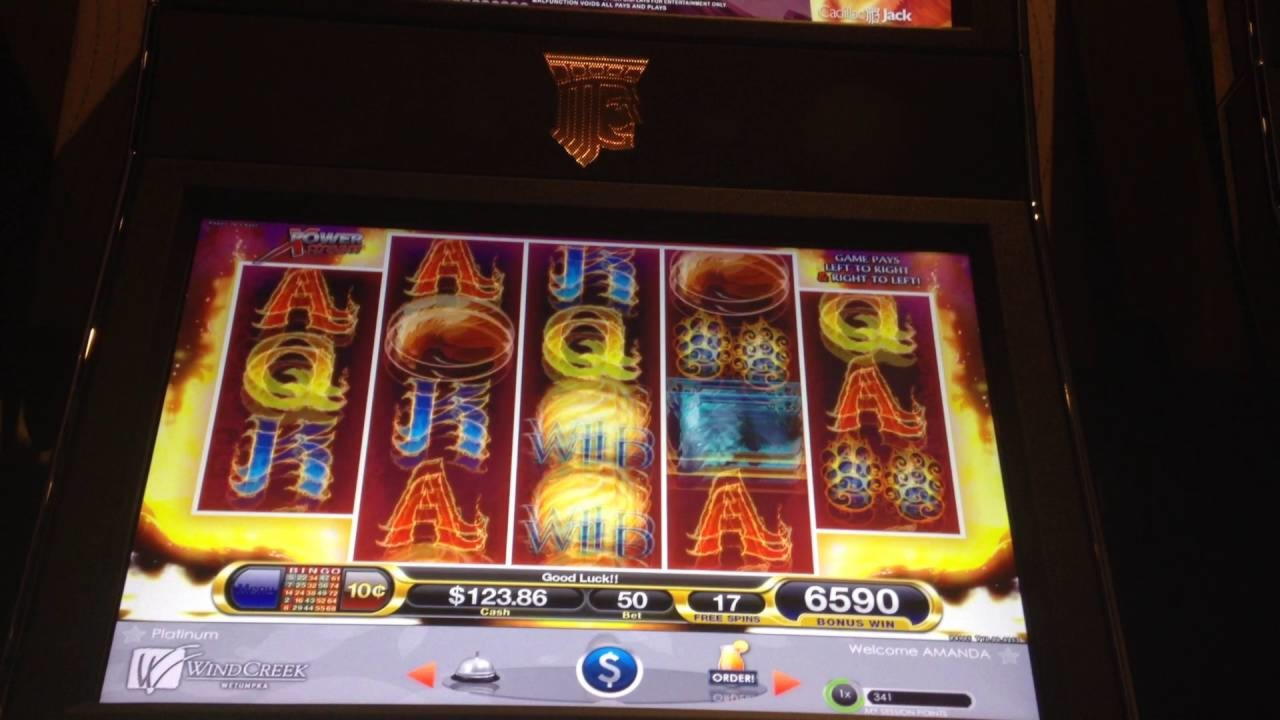 $310 Free Chip at CoolCat Casino