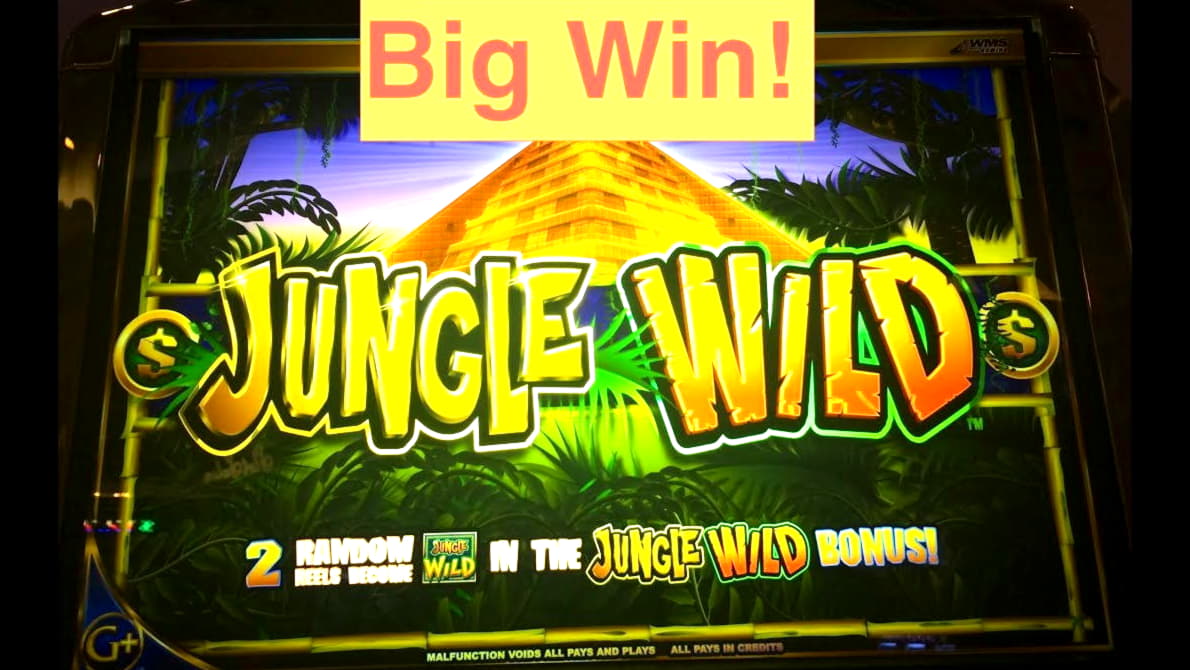 20 free spins no deposit casino at Red Ping Win Casino
