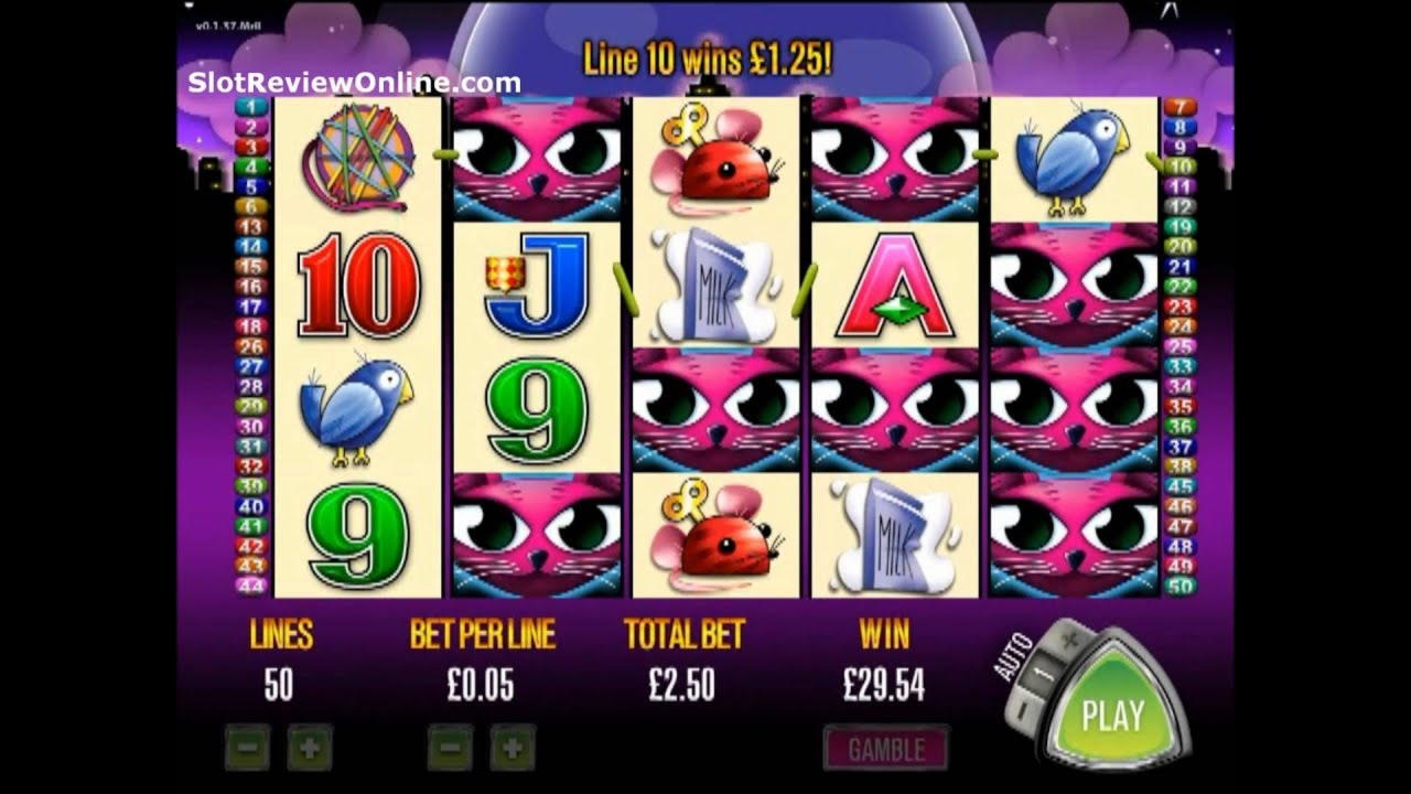 EURO 240 free casino chip at BoVegas Casino