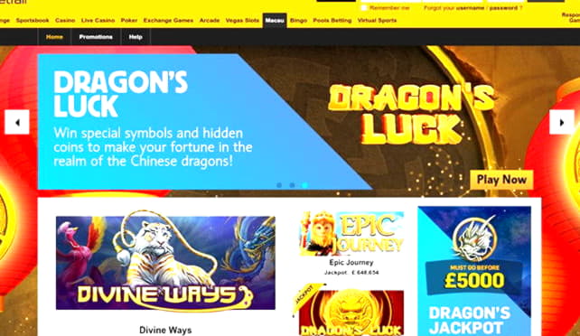 €4330 No deposit casino bonus at CoolCat Casino