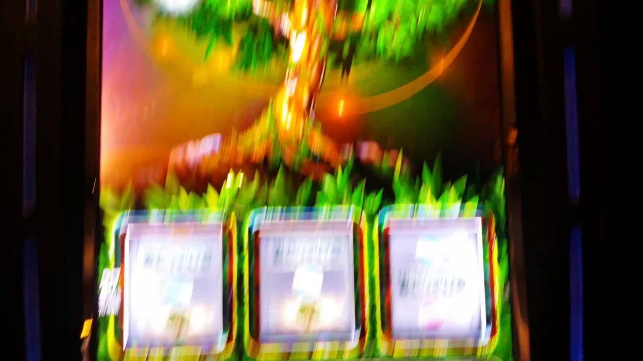$285 Free Casino Tournament at 7 Reels Casino