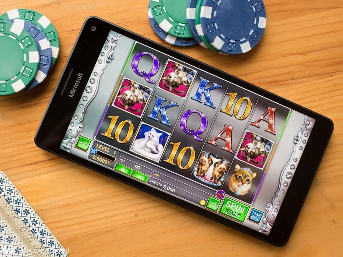 925% casino match bonus at CoolCat Casino