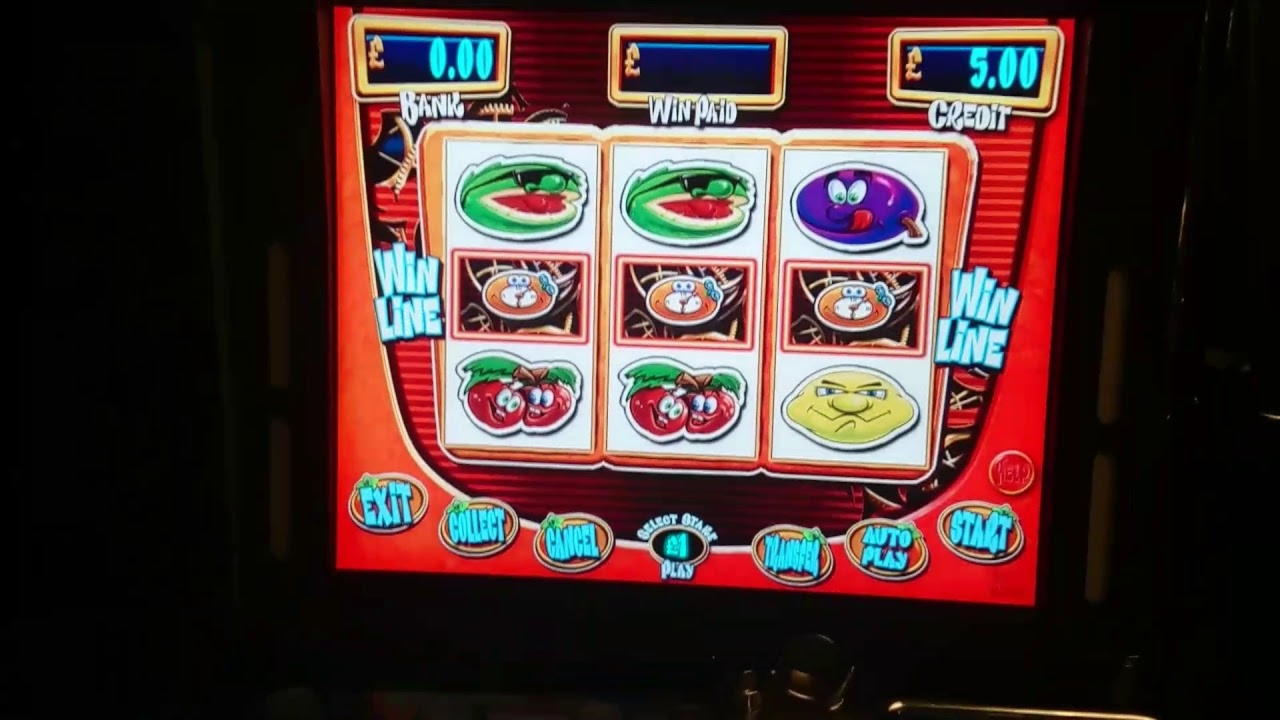 €555 Free Money at Ignition Casino