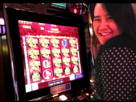 $66 Daily freeroll slot tournament at Ignition Casino