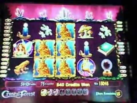 740% Match bonus at Slotscom Casino