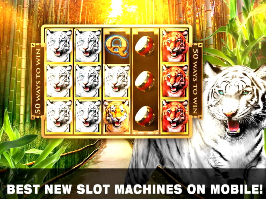 190 free spins no deposit at CoolCat Casino