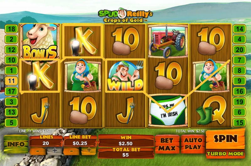 880% Casino match bonus at CoolCat Casino