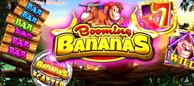 £350 Casino tournaments freeroll at CoolCat Casino