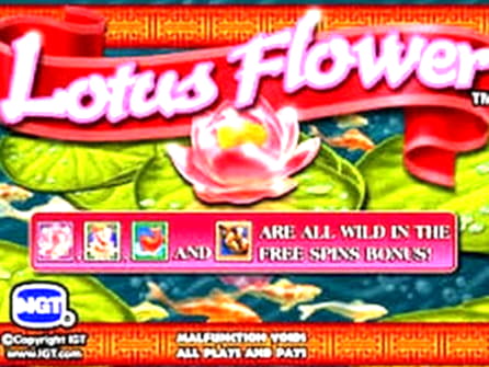Eur 995 Daily freeroll slot tournament at Fair Go Casino