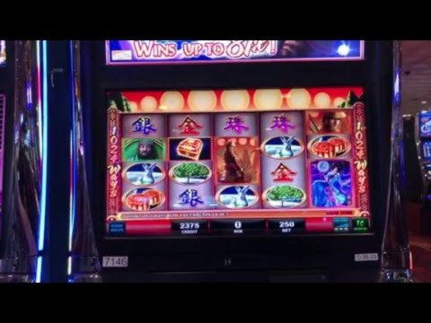 £245 Free Chip at CoolCat Casino
