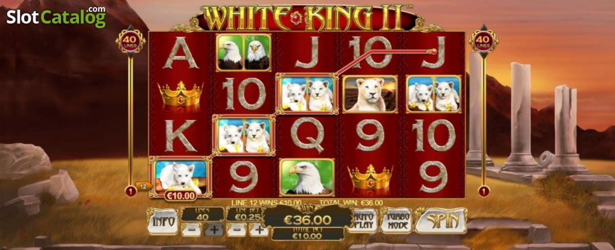 975% Casino Welcome Bonus at CoolCat Casino