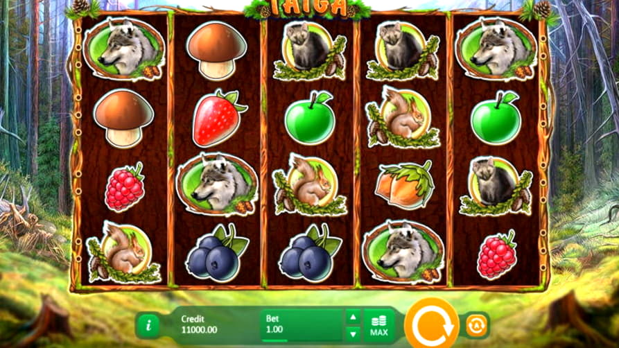 EUR 565 Casino Tournament at Ignition Casino
