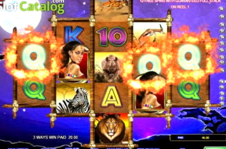 11 free spins no deposit at BoVegas Casino