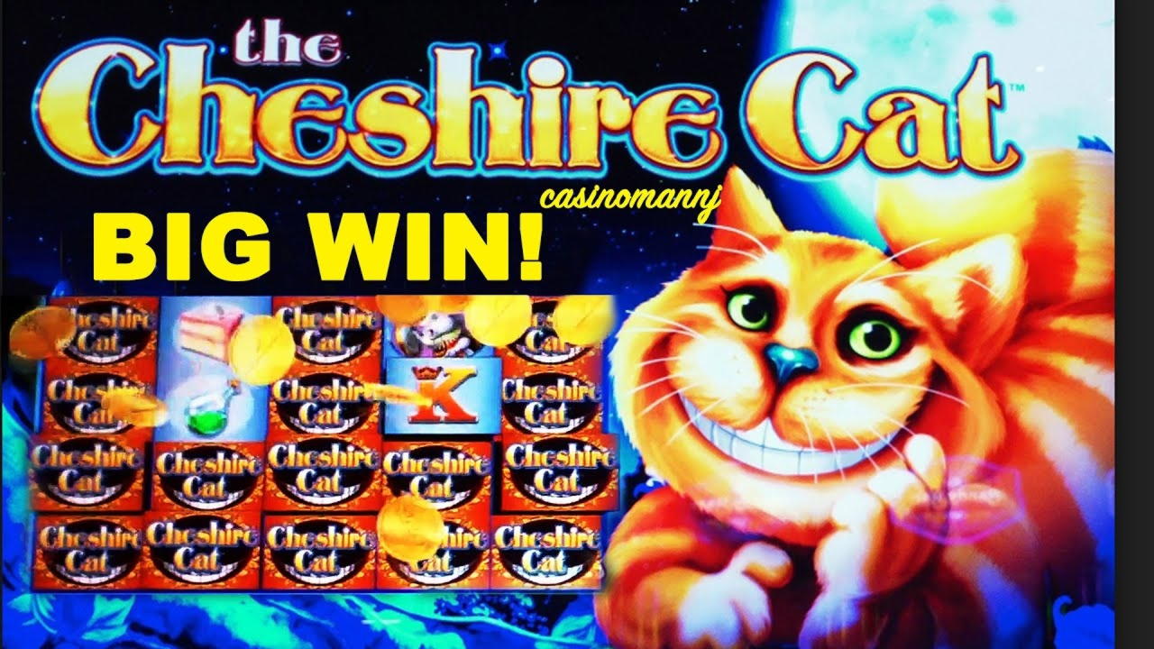 €640 Mobile freeroll slot tournament at 7 Sultans Casino