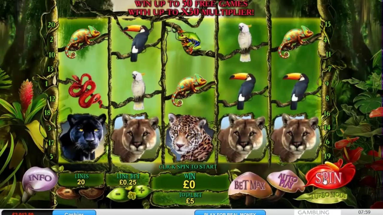 EURO 3165 NO DEPOSIT CASINO BONUS at Red Ping Win Casino