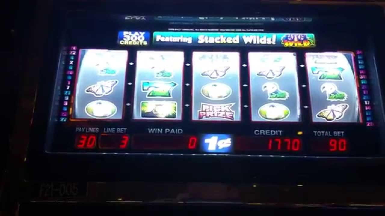 55% Signup Casino Bonus at Rich Casino