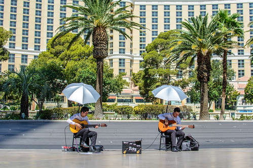 playing in vegas