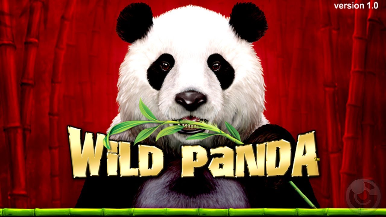 Wild Panda Australian Casino slot game – iPhone & iPad Gameplay Video