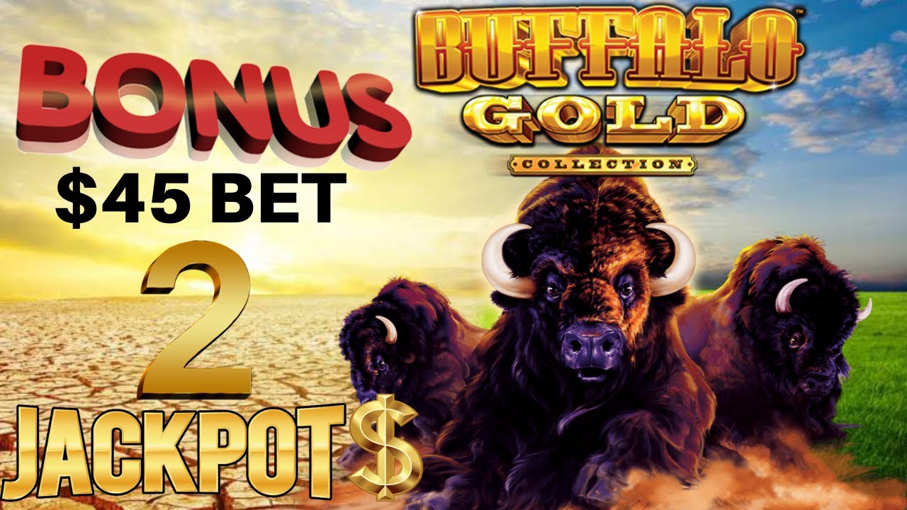 ⭐️ Buffalo Gold (2) JACKPOT HANDPAYS  ⭐️HIGH LIMIT  SPIN BONUS ROUND Slot Machine Australian Casino ⭐️