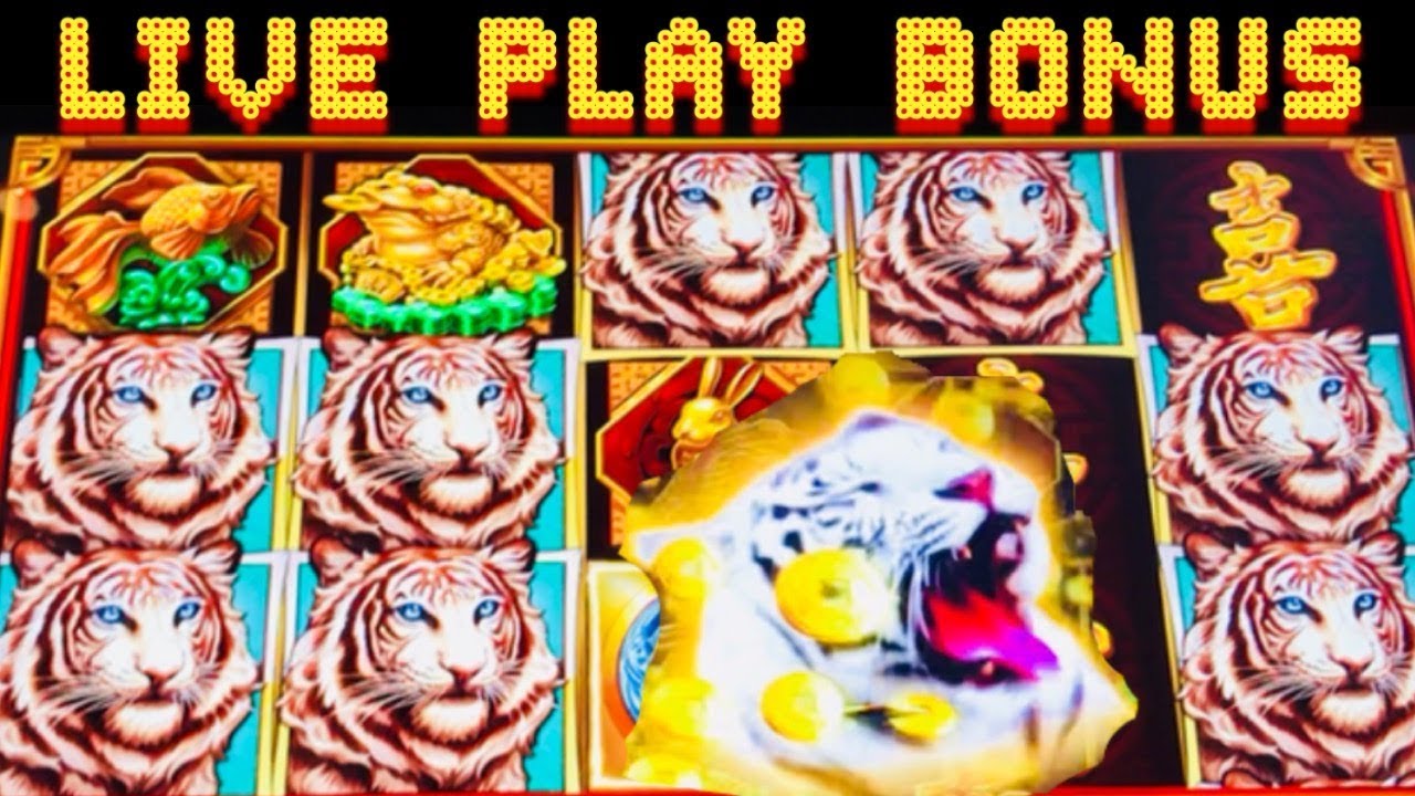? LONG TENG HU XIAO ? | LIVE PLAY | BONUS | SLOT MACHINE | SAN MANUEL Online Casino Australian |