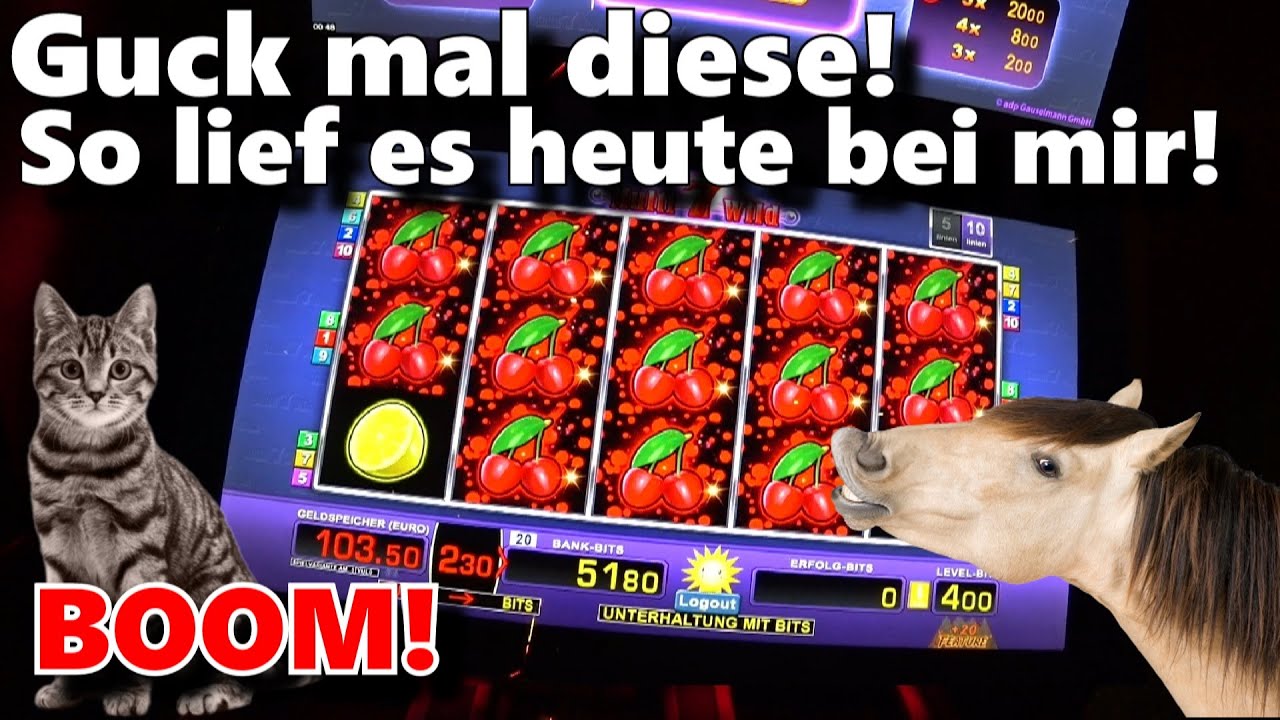 4 € fach Spielothek von Pferden ? & Katzen ? 2021 Merkur Novoline Spielautomaten Online Casino Australian slots Bally 4 € fach Spielothek von Pferden ? & Katzen ? 2021 Merkur Novoline Spielautomaten Online Casino Australian slots Bally