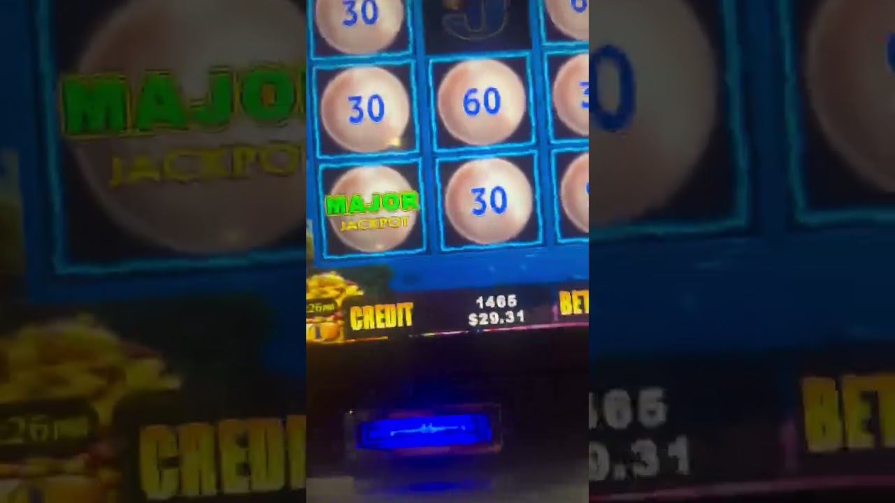 Love to see the size of this Major Jackpot ? Pokie Wins Australia