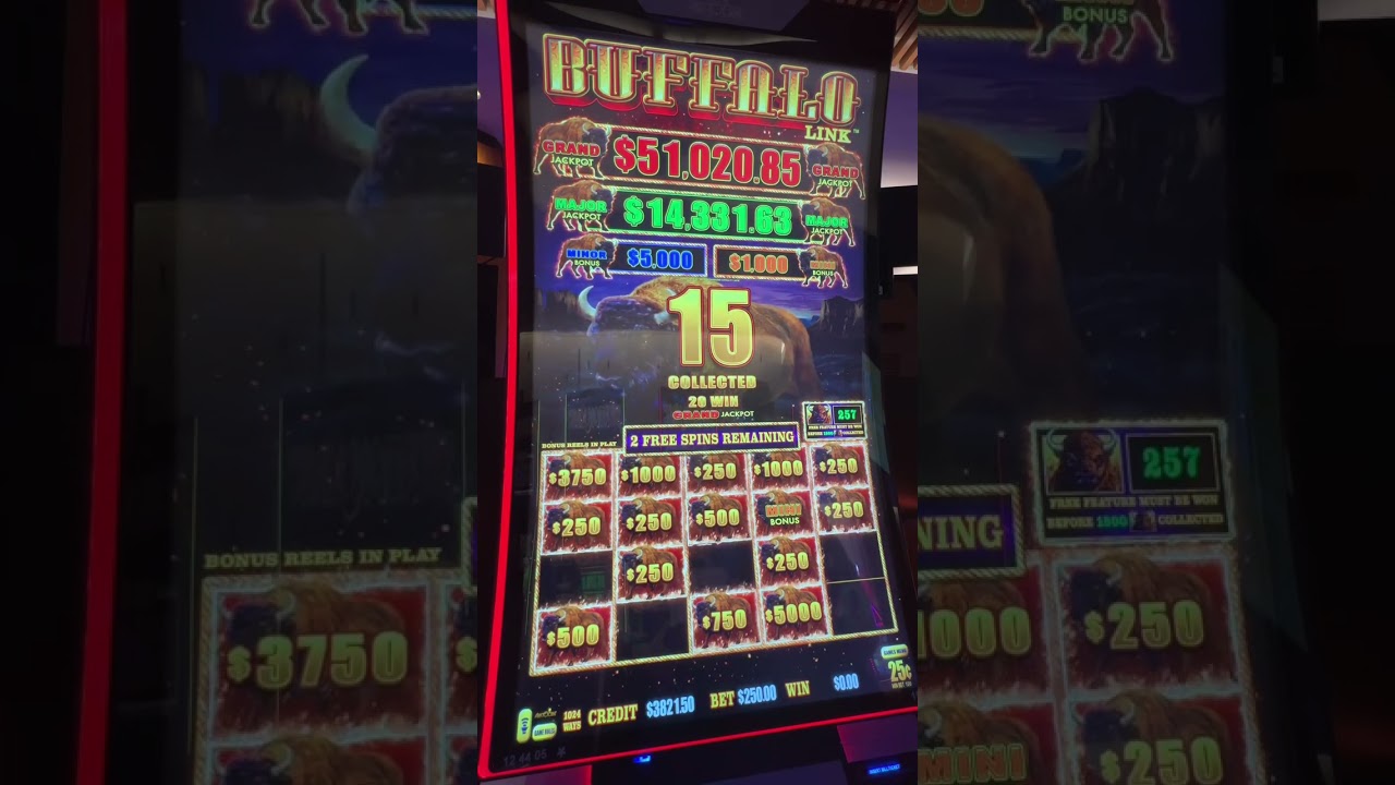 Massive Buffalo Jackpot Hand Pay #Australian Casino #slots #gambling