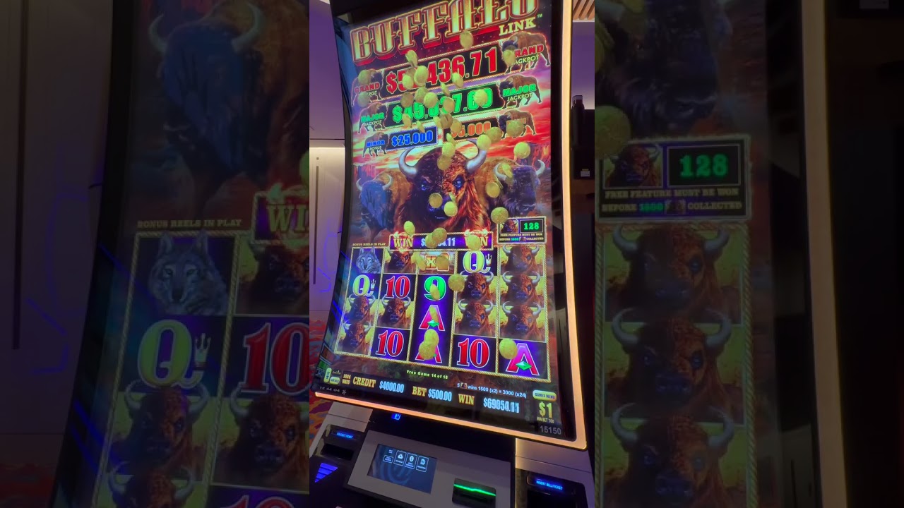 The Biggest Jackpot Ever on Buffalo Link #Online Casino Australian #slots #gambling