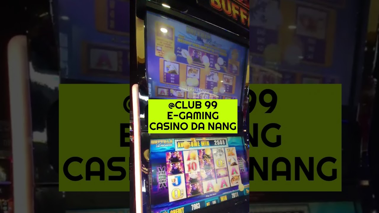 #shorts Danang Australian Casino @Club99 BIG WIN ! Slot Play *Buffalo Legend Deluxe* #slots #danang #Australian Casino