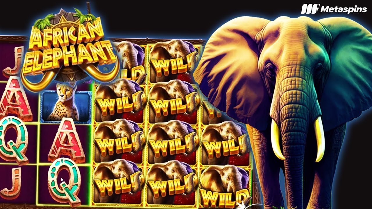 Metaspins Online Casino Australian - African Elephant (Pragmatic Play)